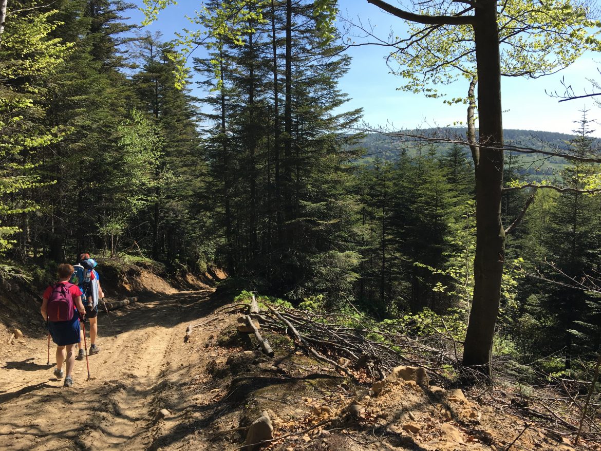 Wokół Zdrojów – Rymanów i Iwonicz Zdrój przez Przymiarki