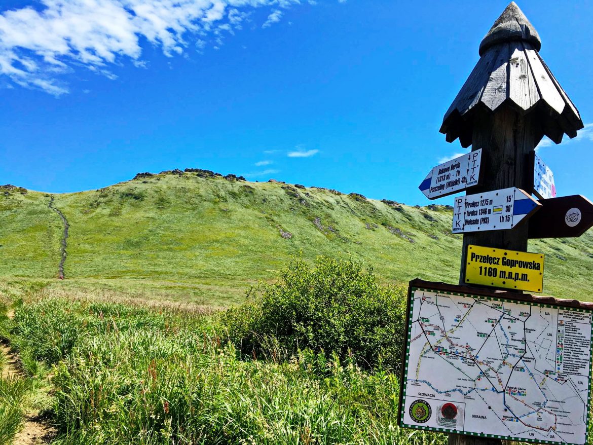 Niebieskie wyzwanie 2016