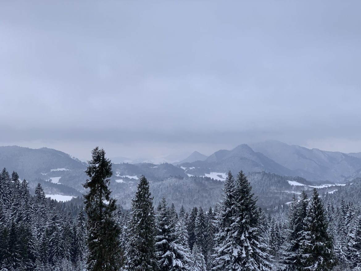 Pieniny Małe ze Szczawnicy przez Wysoką do Jaworek