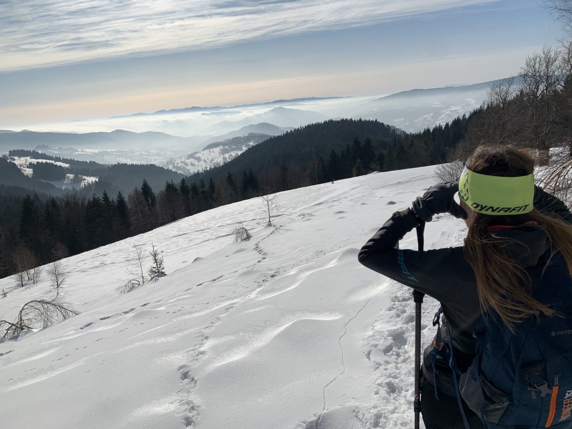 Pasmo Jaworzyny Krynickiej: Hala Łabowska z Łomnicy Zdrój