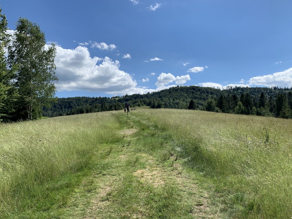 Szlak zielony z Brennej przez Trzy Kopce Wiślańskie i Gościejów na Przełęcz Salmopolską