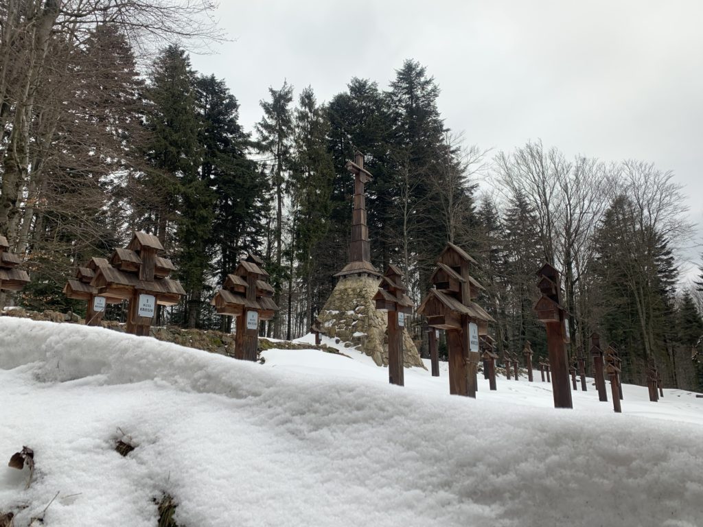 Magura Małastowska - Ogląd zza zasypanego śniegiem kamiennego muru