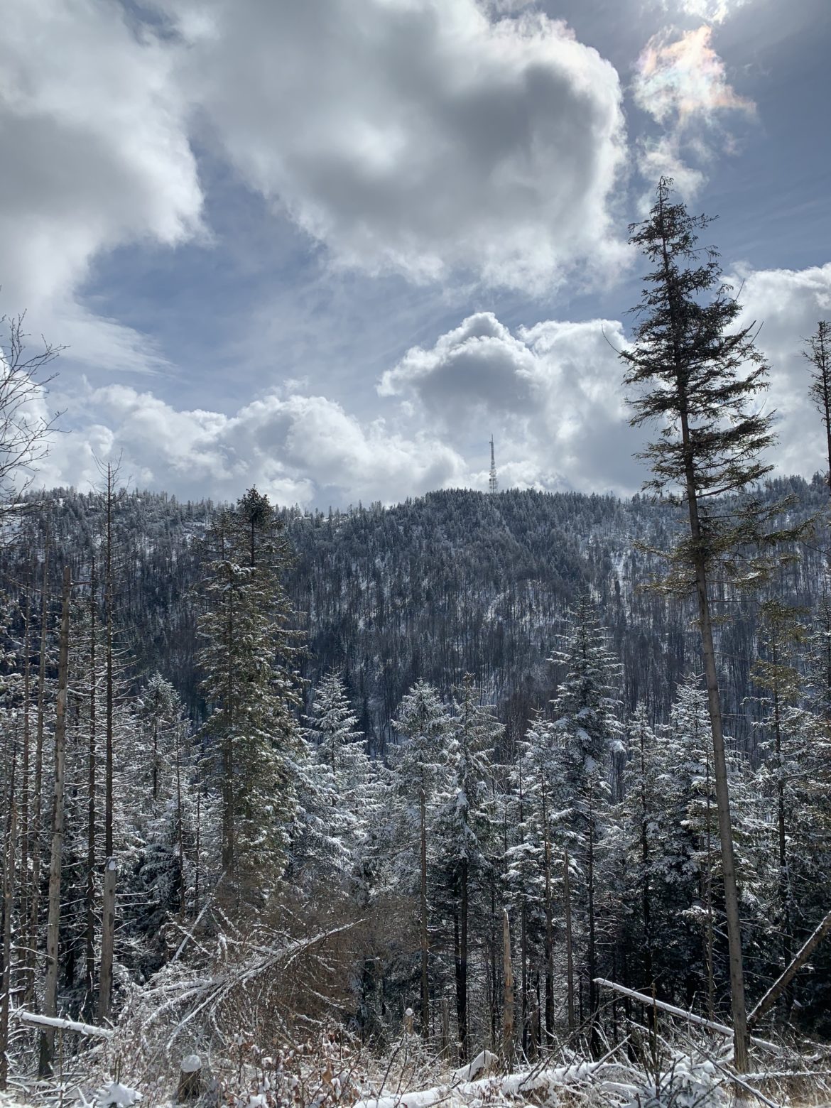 Przehyba w Beskidzie Sądeckim