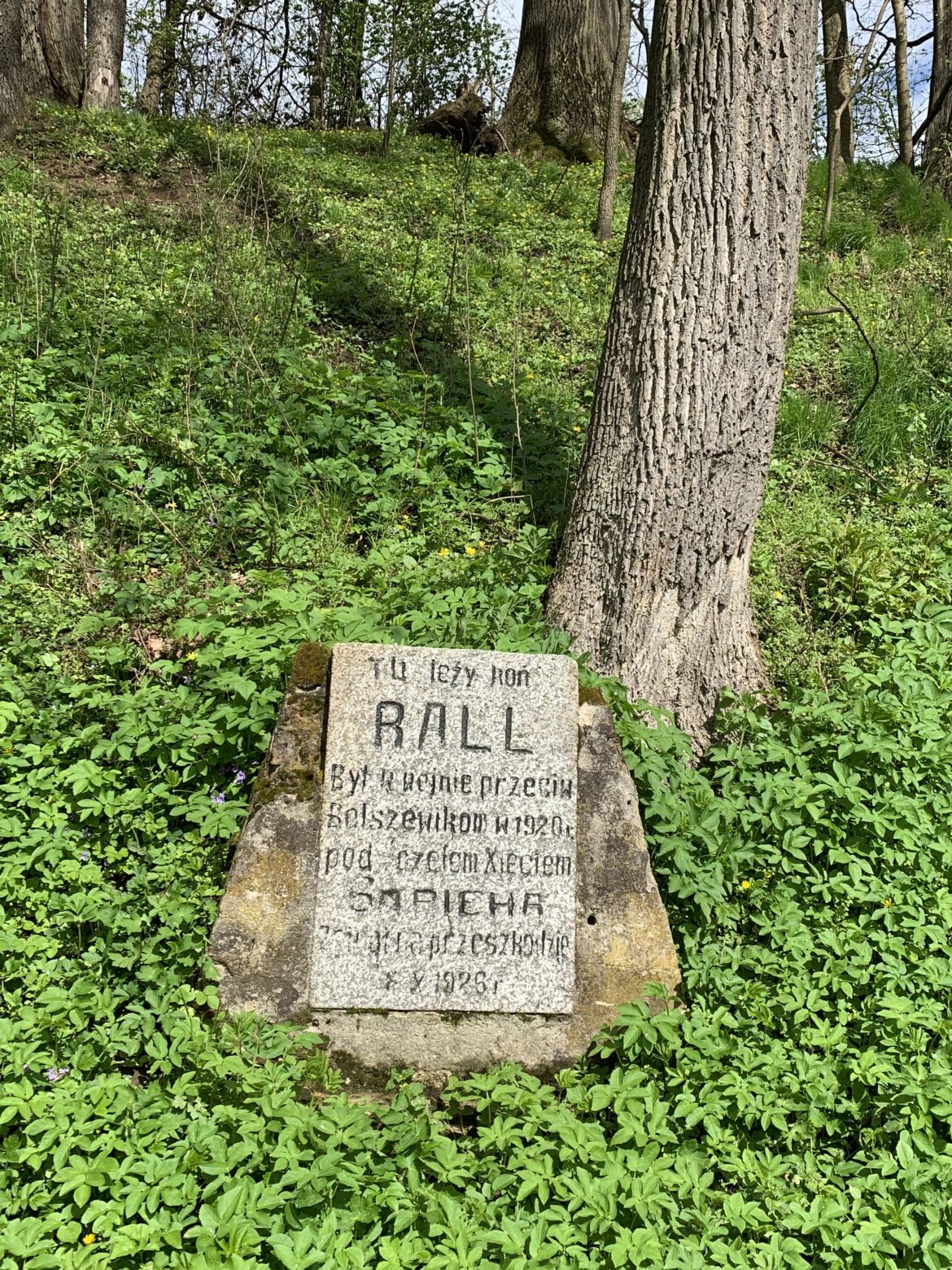 Ścieżka do Ralla w Krasiczynie